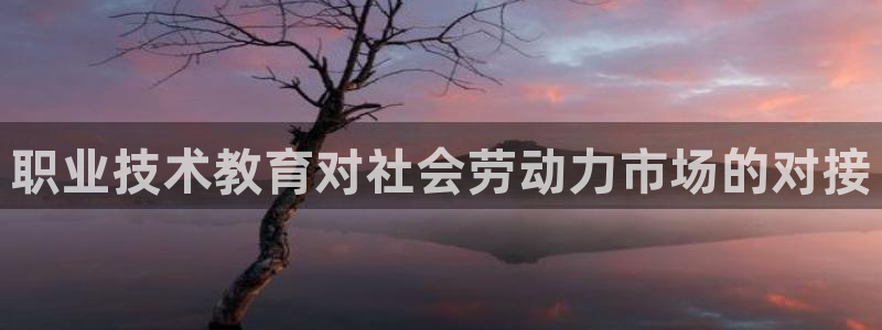 j9国际站官网首页直达|职业技术教育对社会劳动力市场的对接