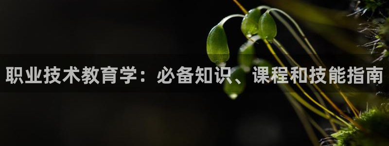 j9九游会国际站-官方网站|职业技术教育学：必备知识、课程和技能指南